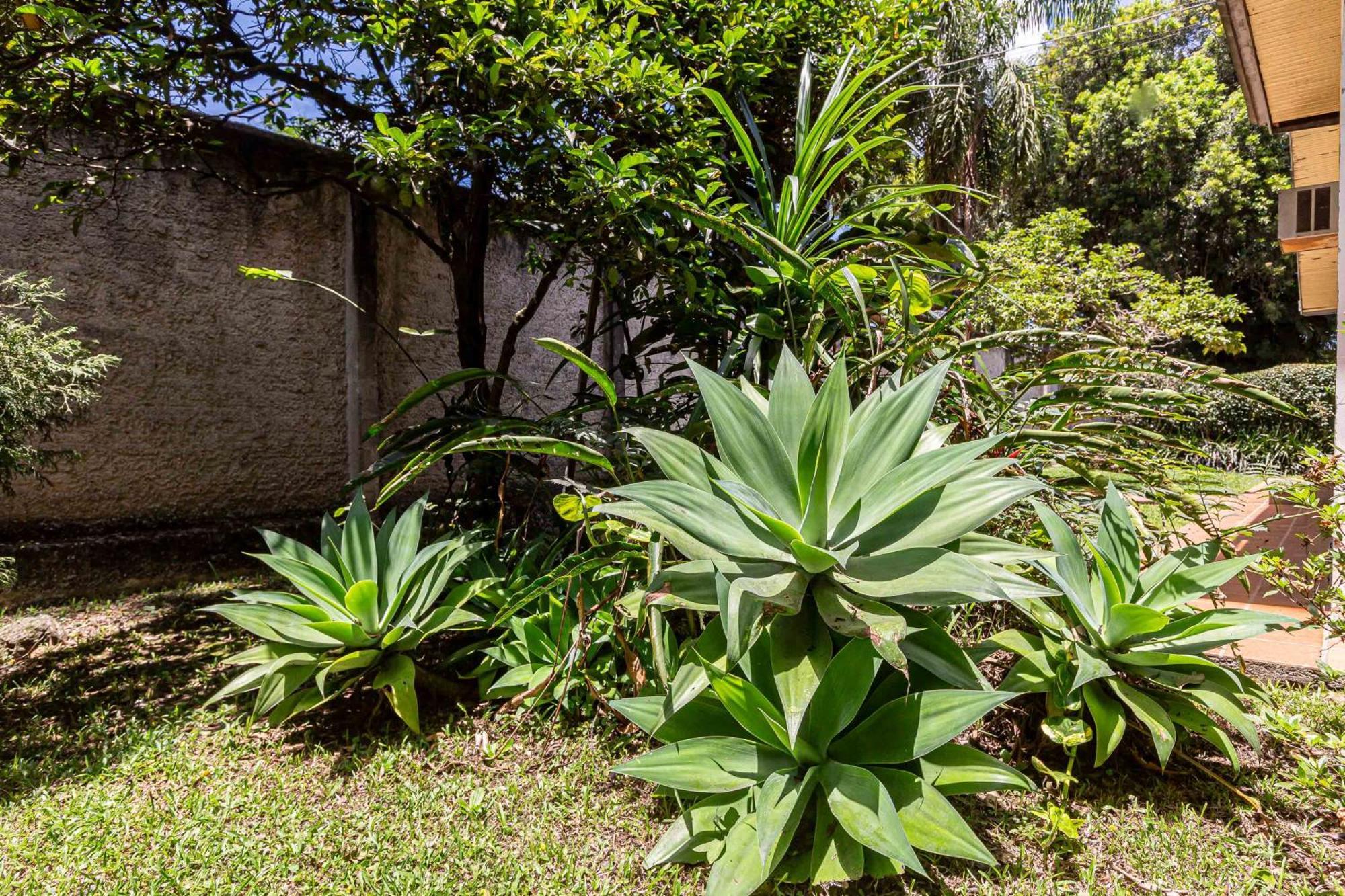 Memora Guesthouse Curitiba - Quartos Em Casa Proximo Ao Parque Bacacheri Zewnętrze zdjęcie